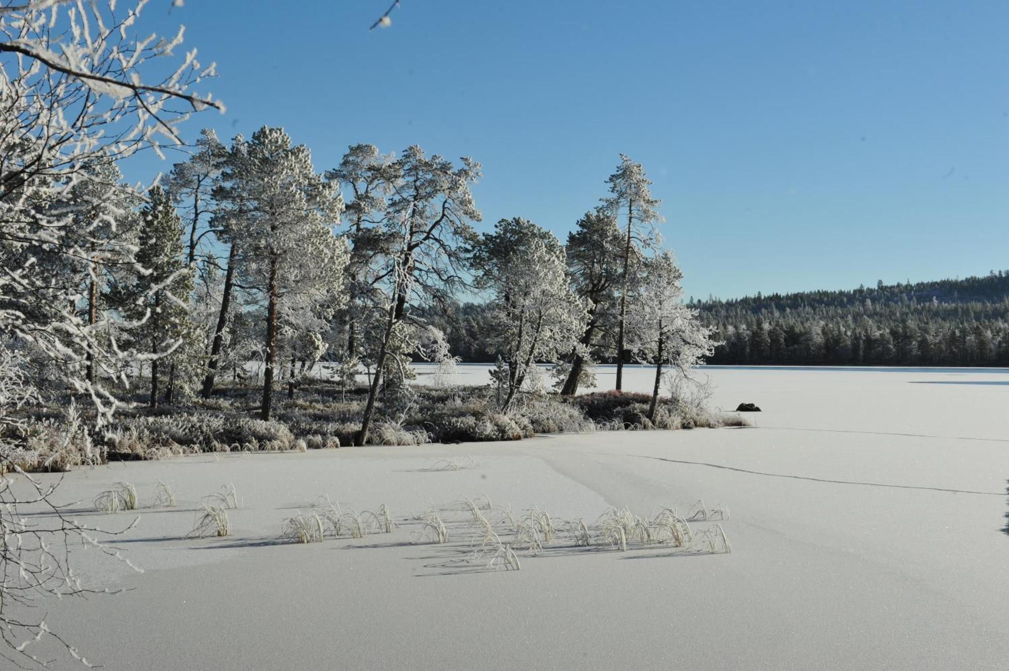 Auroracabin Chalets Saariselkä Habitación foto